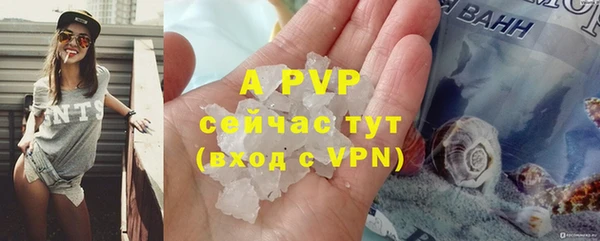 apvp Богородицк